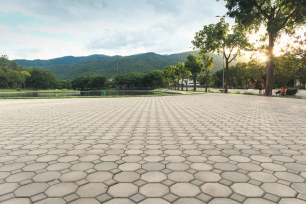 Best Concrete Paver Driveway  in Dover, FL