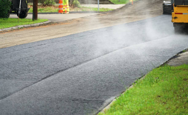 Best Professional Driveway Pavers  in Dover, FL